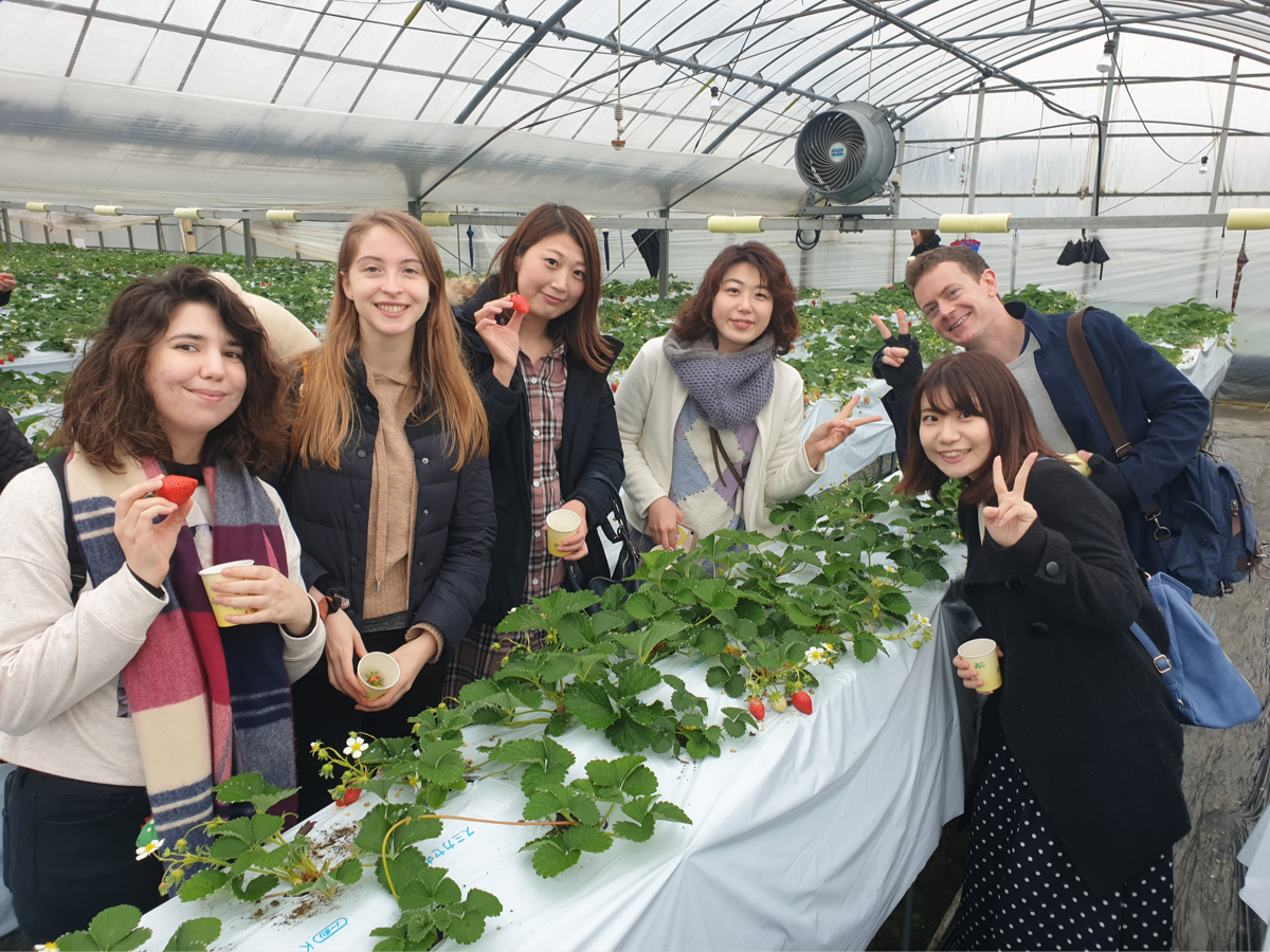 Language students at a strawberry greenhouse