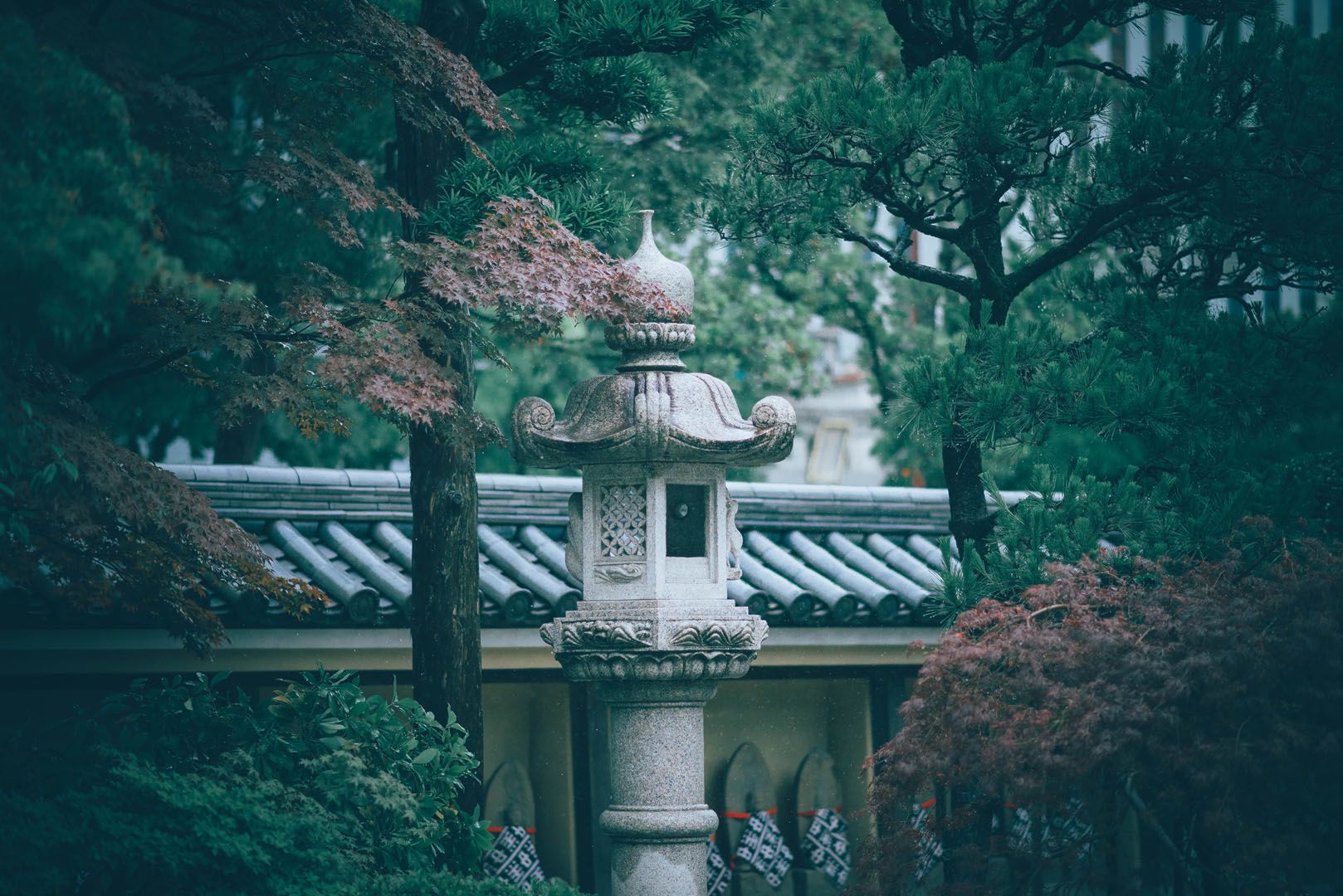 Meiji Academy