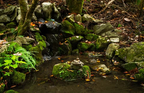 A stone statue of a frog with a smaller frog on its back sits on a mossy rock in a forest stream.