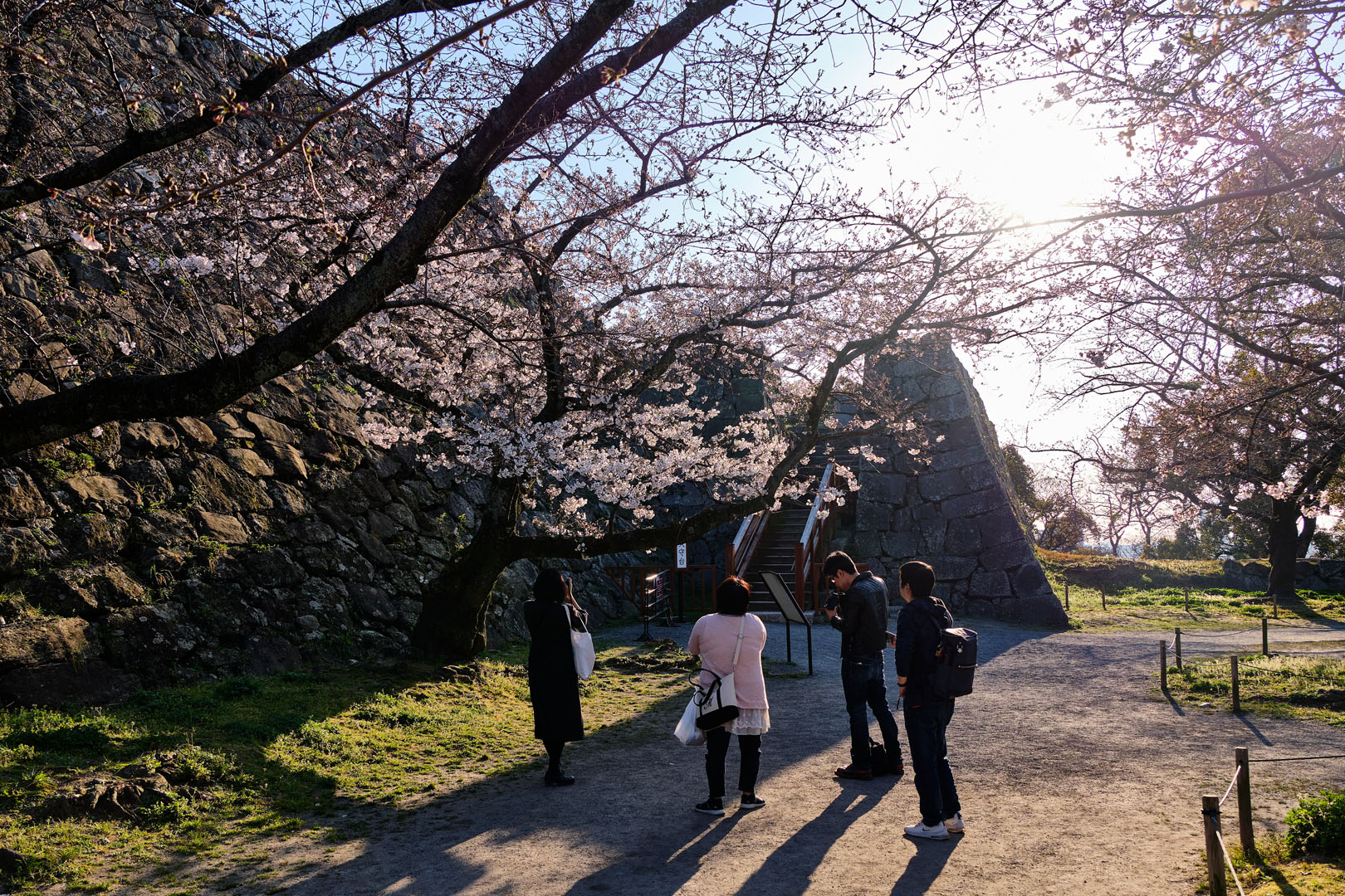 Meiji Academy